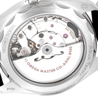 Omega seamaster aqua terra