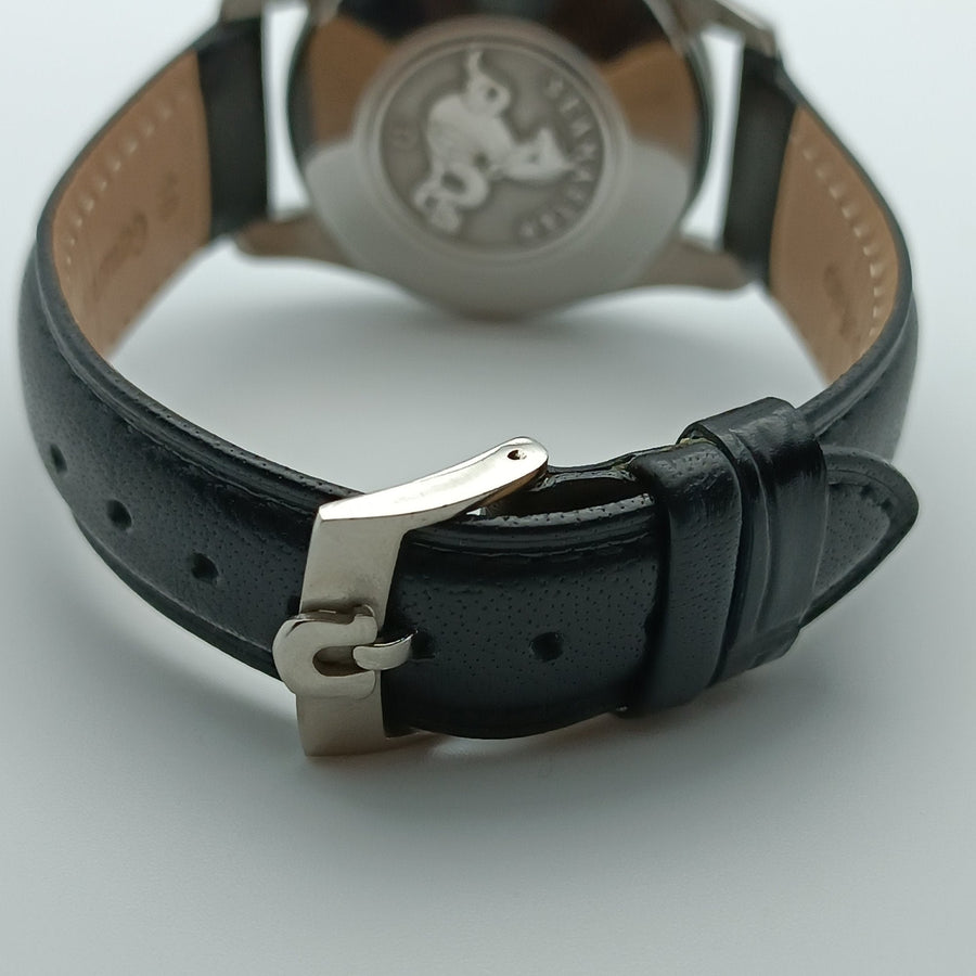Omega - seamaster automatique