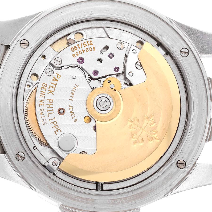 Patek philippe neptune saumon